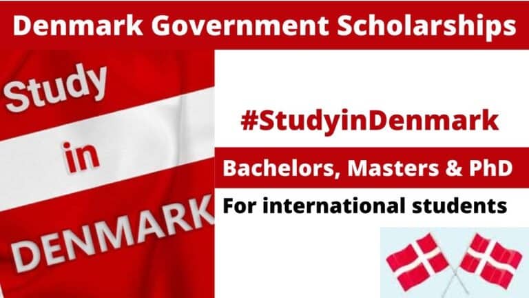 Government Of Denmark Scholarship 2023