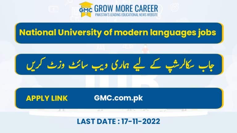 National University Of Modern Languages Jobs 2022