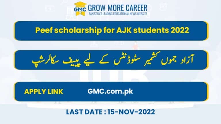 Peef Scholarships 2022 For Ajk Students