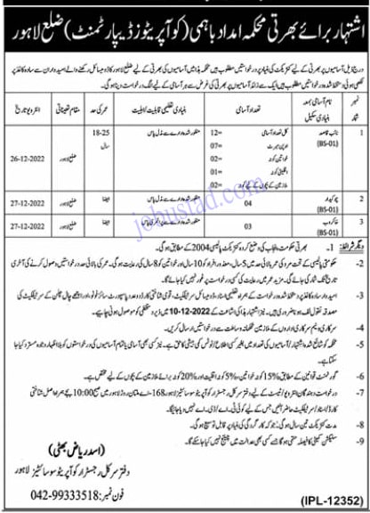 New Class 4 Jobs In Lahore December 2022 