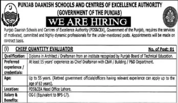 Punjab Danish Schools And Centres Of Excellence Authority Jobs 2022