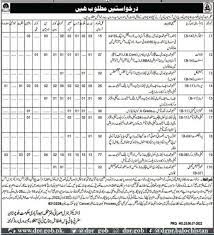 Population Welfare Department Jobs In Baluchistan December 2022 Advertisement