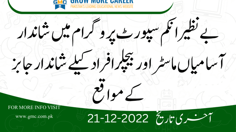 Benazir Income Support Programme Bisp Jobs 2022