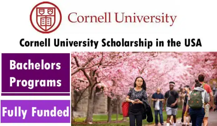 Cornell University Undergraduate Scholarship 2023 In The Usa