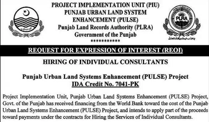 Punjab Land Records Authority Plra Jobs 2023 In Lahore