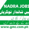 Karachi Nadra Jobs 2024 Apply Now