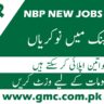 Latest Nbp Jobs 2024 Online Apply With Gmc