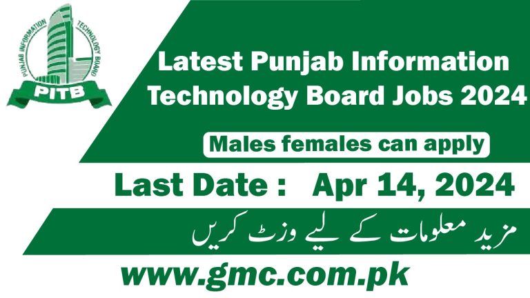 Latest Punjab Information Technology Board Jobs 2024