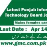 Latest Punjab Information Technology Board Jobs 2024