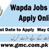 Wapda Jobs 2024 Apply Online