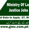 Ministry Of Law And Justice Jobs 2024, Application Form Www.molaw.gov.pk
