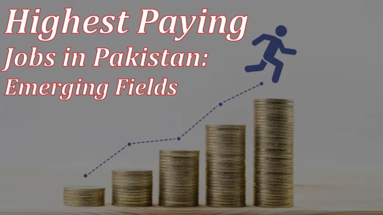 Highest Paying Jobs In Pakistan: Emerging Fields