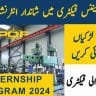 Pakistan Ordnance Factories