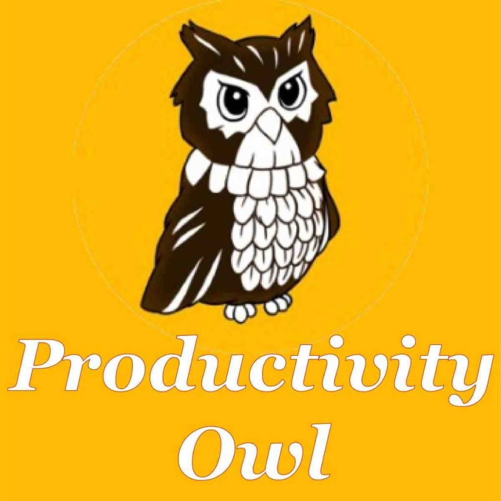 Productivity Owl