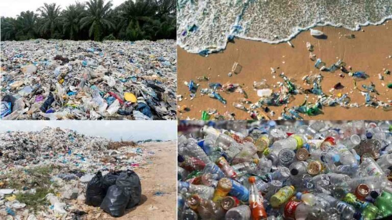 Plastic Pollution In Pakistan: A Growing Environmental Crisis And How We Can Fight It