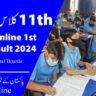 1St Year Result 2024 | 11Th Class Result 2024 Of Punjab Boards