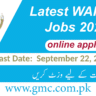 Latest Wapda Jobs 2024 Online Apply