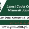 Latest Cadet College Mianwali Jobs 2024