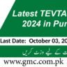 Latest Tevta Jobs 2024 In Punjab