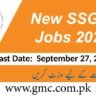 New Ssgc Jobs 2024