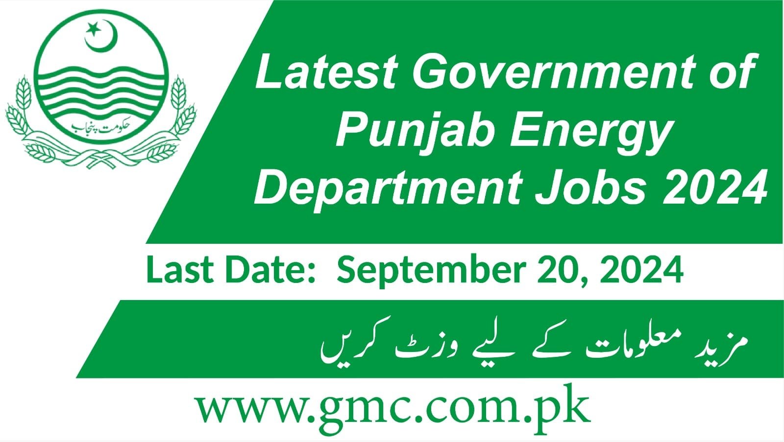 Latest Government of Punjab Energy Department Jobs 2024