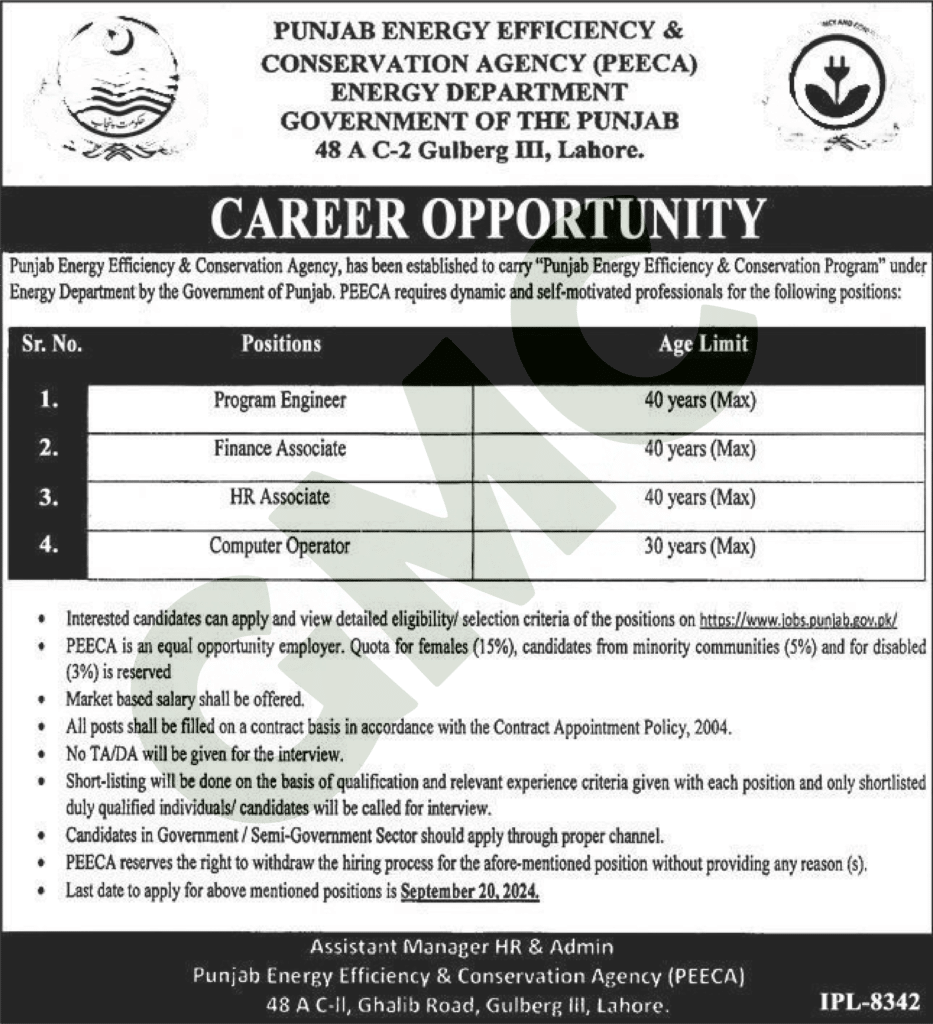 Government Of Punjab Energy Department Jobs 2024 Advertisement