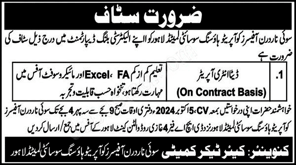 Data Entry Operator Jobs in Lahore 2024 Advertisement