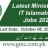 Latest Ministry Of It Islamabad Jobs 2024