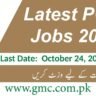 Latest Pcb Jobs 2024