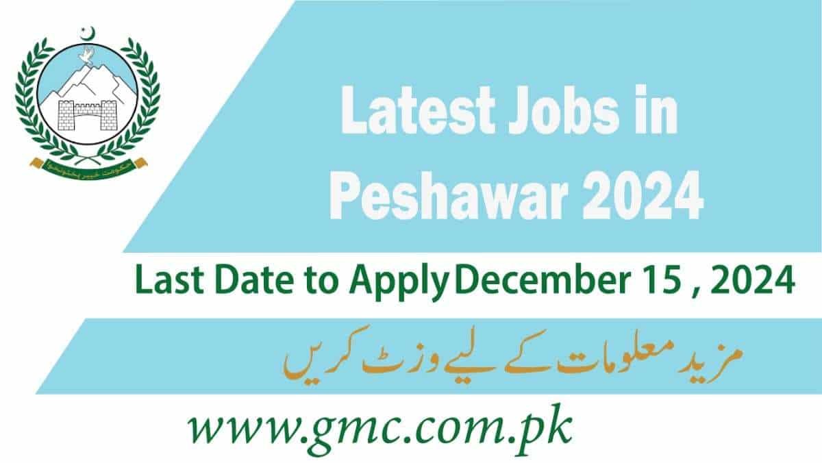 Latest Jobs in Peshawar 2024 Apply Online